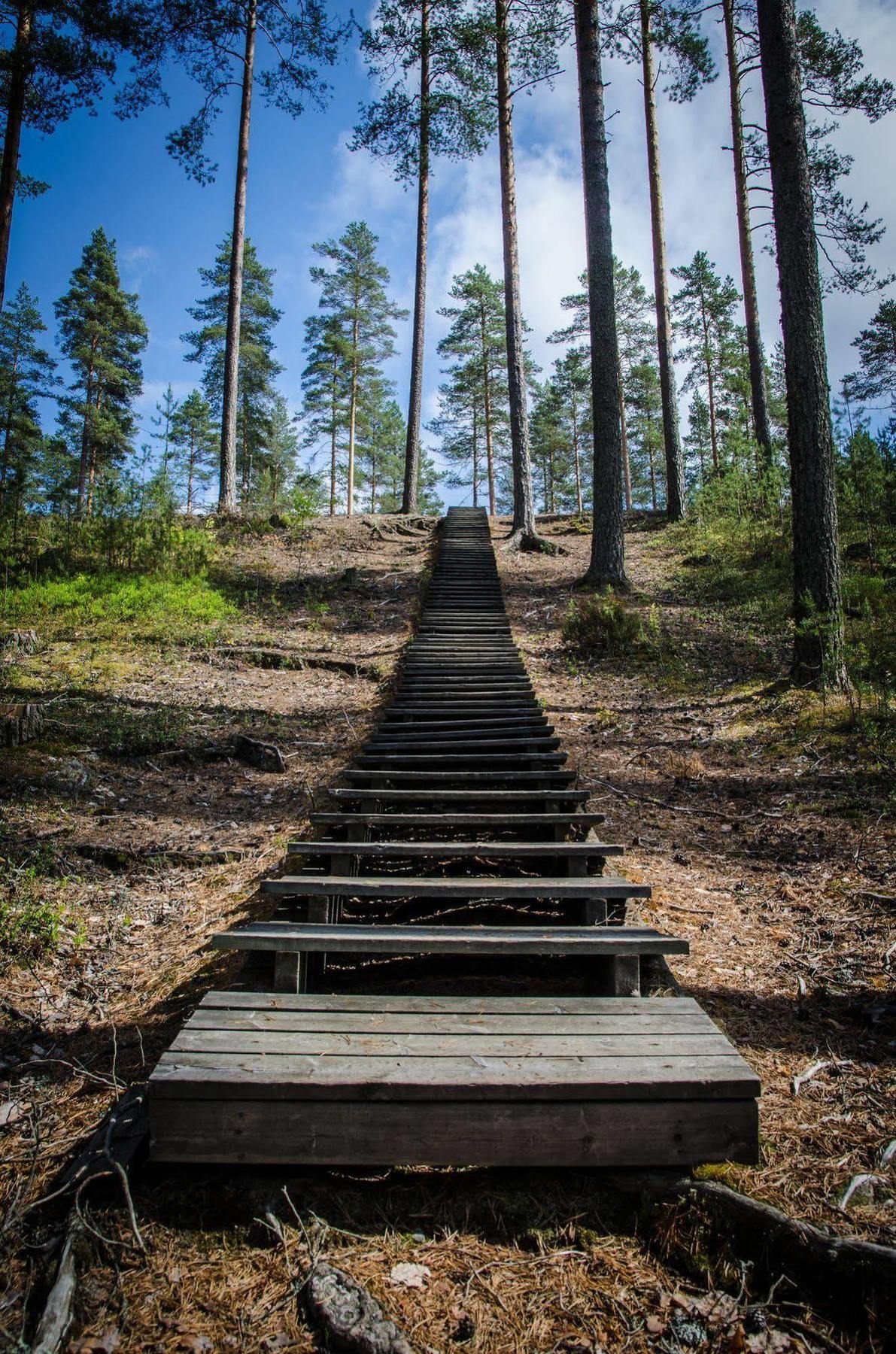 Ahvenlampi Camping Saarijarvi Exterior photo